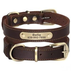 Collar
