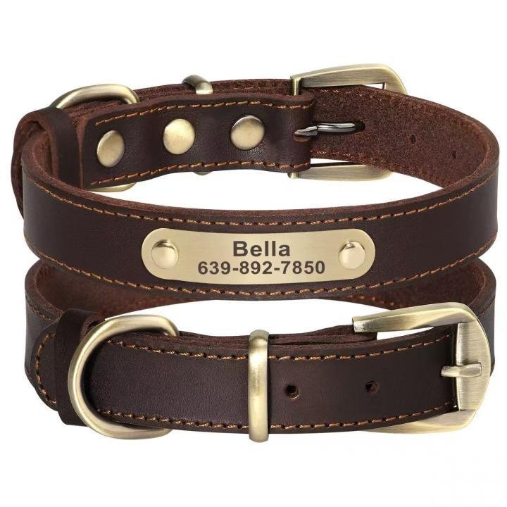 Collar