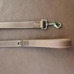 Leash