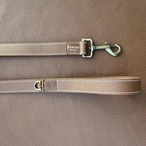 Leash