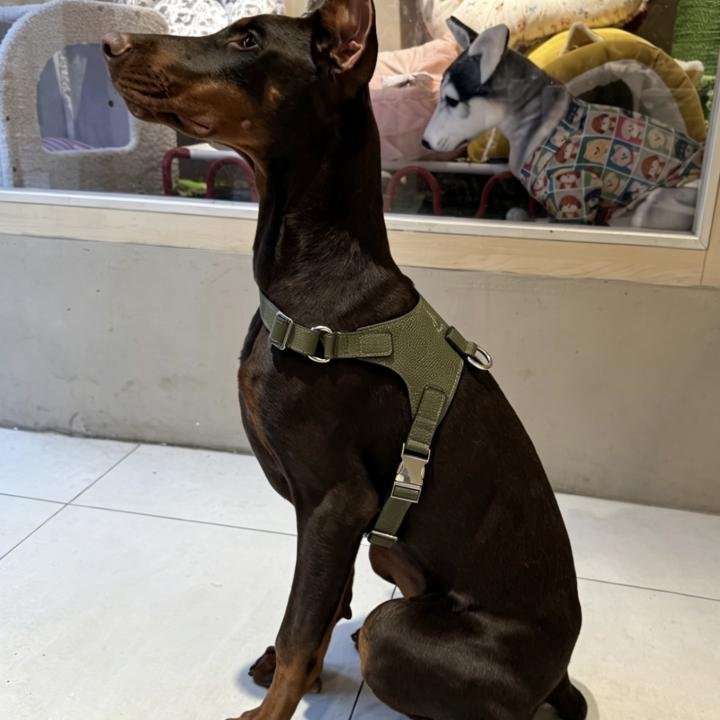Leather Harness Khaki
