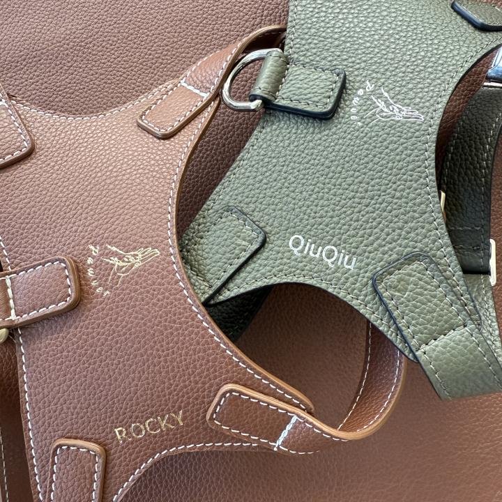 Leather Harness Medium